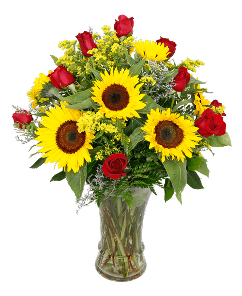 Roses and Sunflowers, Popular 454 Royer's flowers and gifts