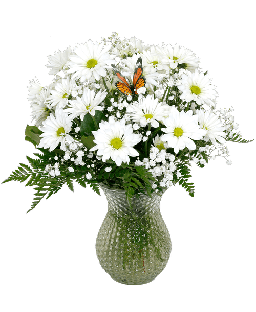 Daisy Flower Arrangement Delivery Best Flower Site