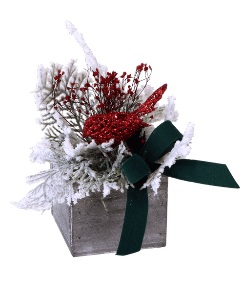 Christmas All Items Royer's flowers and gifts Flowers, Plants and