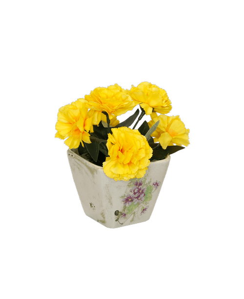 Royers Flowers Promo Code 2019 Best Flower Site