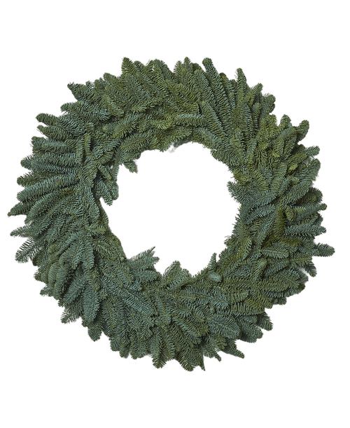 Christmas All Items Royer's flowers and gifts Flowers, Plants