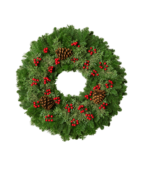 Christmas All Items Royer's flowers and gifts Flowers, Plants