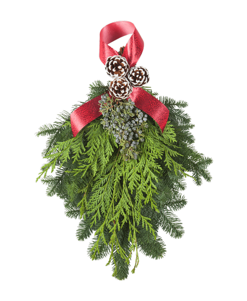 Christmas All Items Royer's flowers and gifts Flowers, Plants