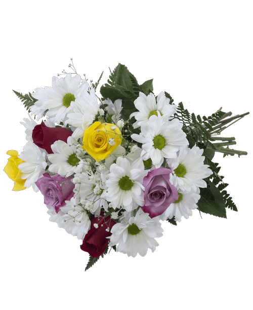 Daisy Flower Arrangement Delivery Best Flower Site