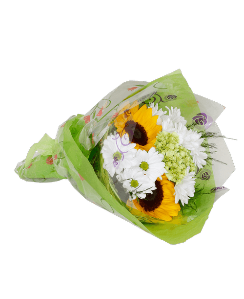 Royer S Flowers Gifts Loucks Road York Pa Best Flower Site