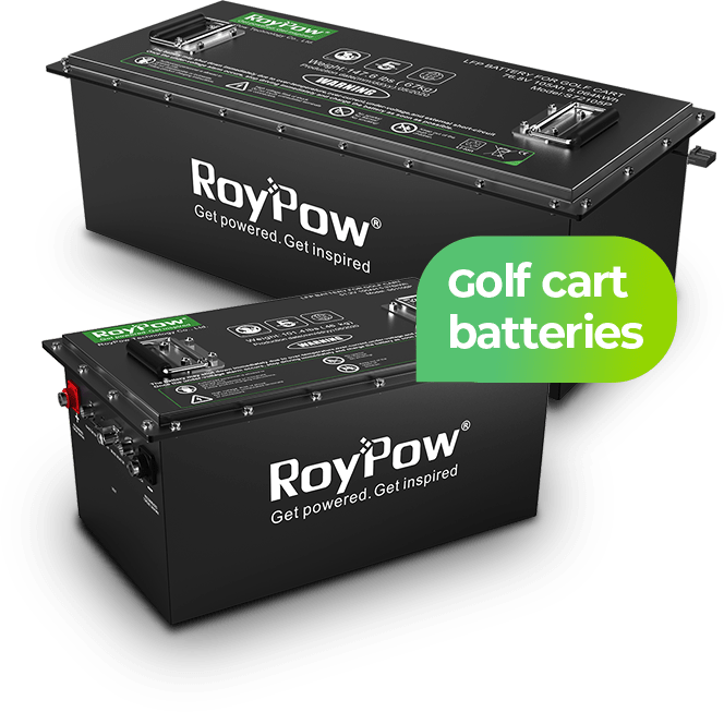 P Series Battery RoyPow