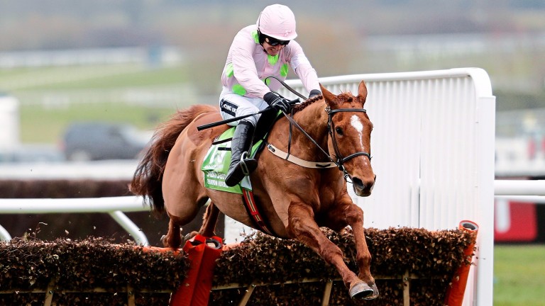 Brilliant Champion Hurdle winner Annie Power retired Horse Racing