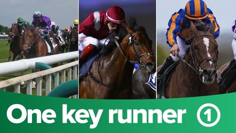 ITV Racing tips one key runner from each race on ITV on day one of York Horse Racing News