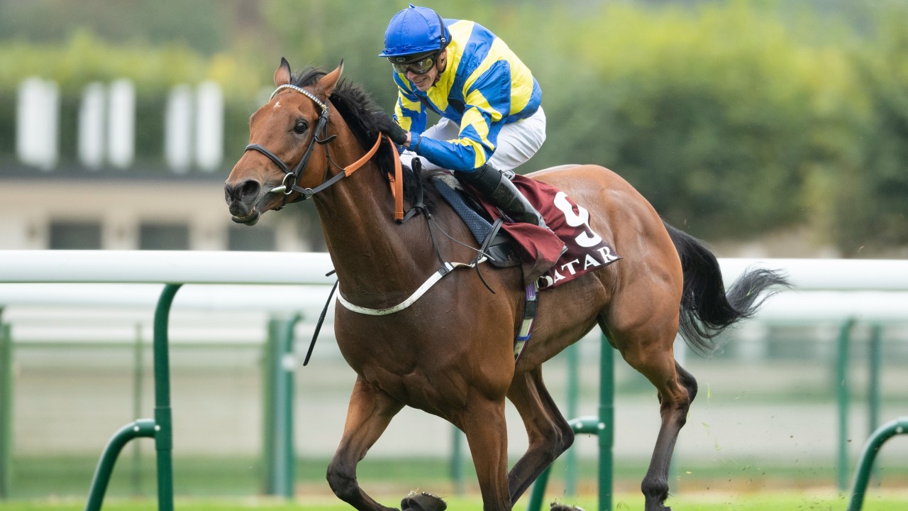 seuil non imposable 2023 What's On This Week: Stars Gather At Aintree In Build-Up To 2022 Grand National | Horse Racing News | Racing Post