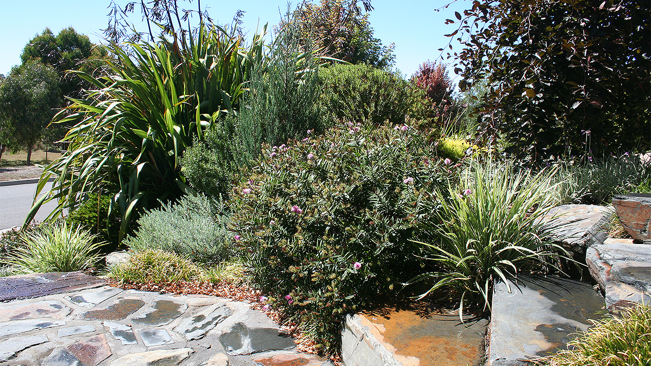 Gisborne Landscape Garden Design Robyn Payne Garden Design