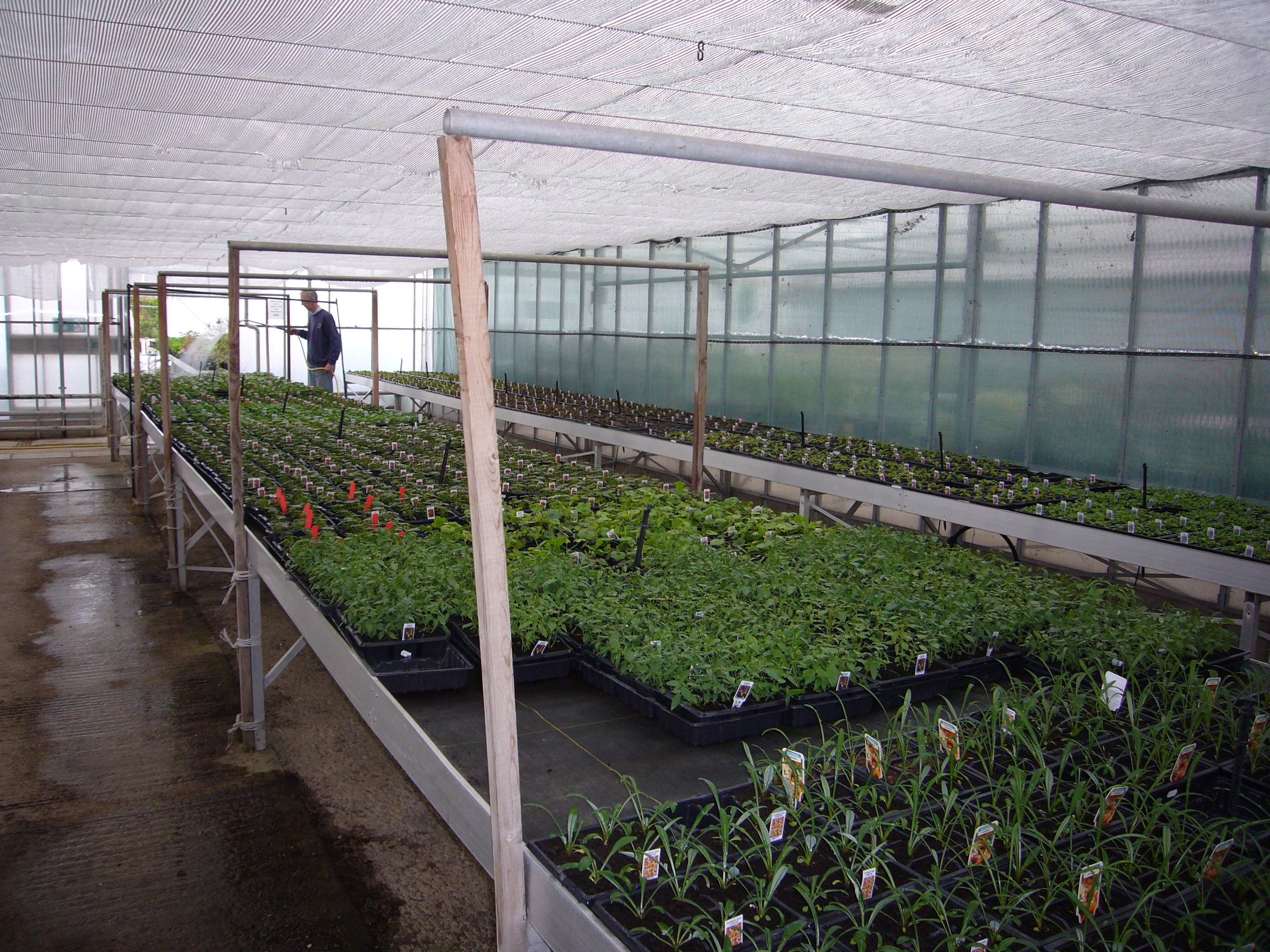 Mayfield Nurseries blooming expansion Commercial Property Consultants