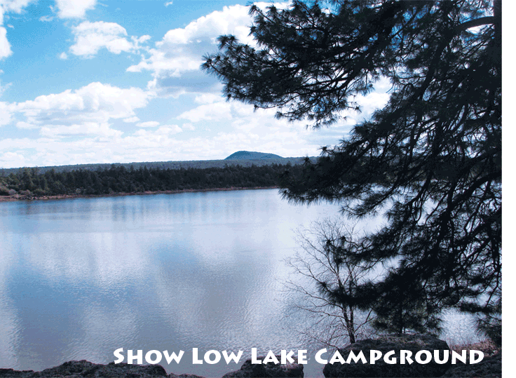Show Low Lake Campground