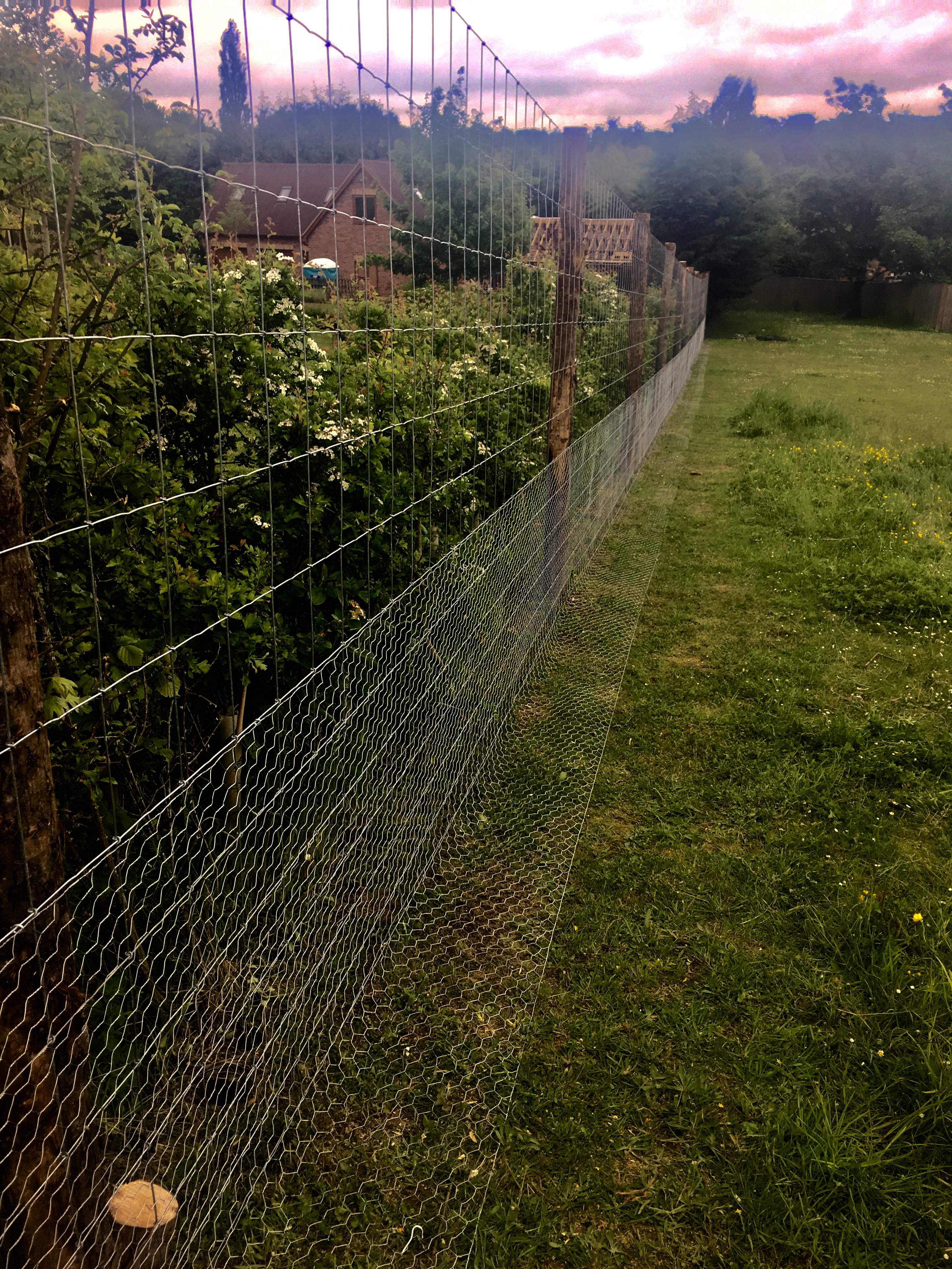 Rabbit Fencing Richard Stubbs Fencing Services