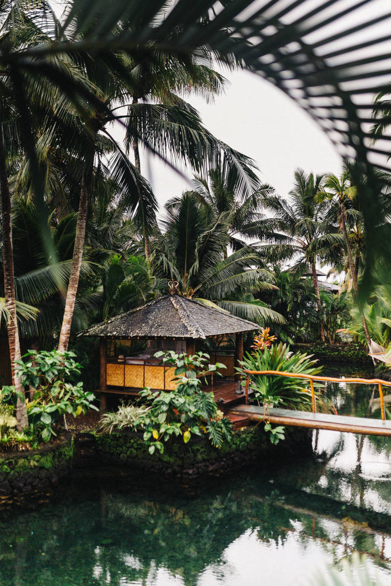 Scary Movie 6 Release Date, Plot, Cast & Preview SHARMIN RAHMAN