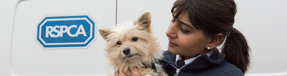 Donate Online Today & Help End Animal Suffering RSPCA