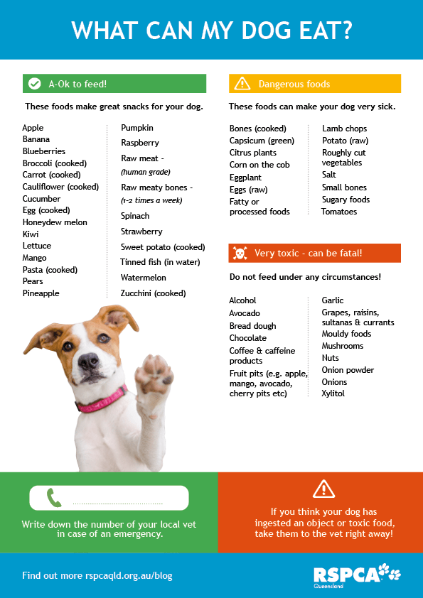 What Not To Feed Your Dog Chart