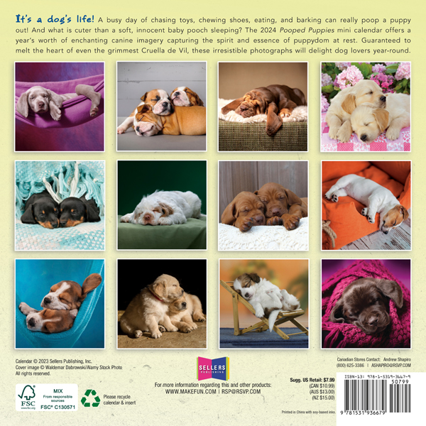 Pooped Puppies Desk Calendar 2024 Pooped Puppies 2024 Mini Calendar RSVP