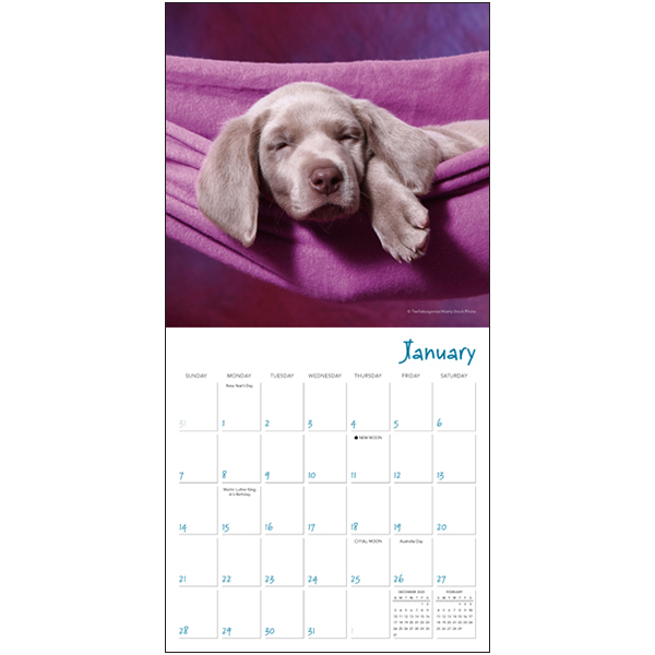 Pooped Puppies Desk Calendar 2024 A PHP Error was encountered Severity: Notice Message: Undefined variable: image Filename: C:\laragon\www\025-imake-01-07-23-bing-sentense\application\cache\blade\3aa85ec9516c5f321d399fdaef98cc95aba0bf89.php Line Number: 16 Backtrace: File: C:\laragon\www\025-imake-01-07-23-bing-sentense\application\cache\blade\3aa85ec9516c5f321d399fdaef98cc95aba0bf89.php Line: 16 Function: _error_handler File: C:\laragon\www\025-imake-01-07-23-bing-sentense\application\third_party\vendor\illuminate\view\Engines\PhpEngine.php Line: 41 Function: include File: C:\laragon\www\025-imake-01-07-23-bing-sentense\application\third_party\vendor\illuminate\view\Engines\CompilerEngine.php Line: 57 Function: evaluatePath File: C:\laragon\www\025-imake-01-07-23-bing-sentense\application\third_party\vendor\illuminate\view\View.php Line: 139 Function: get File: C:\laragon\www\025-imake-01-07-23-bing-sentense\application\third_party\vendor\illuminate\view\View.php Line: 122 Function: getContents File: C:\laragon\www\025-imake-01-07-23-bing-sentense\application\third_party\vendor\illuminate\view\View.php Line: 91 Function: renderContents File: C:\laragon\www\025-imake-01-07-23-bing-sentense\application\third_party\vendor\duncan3dc\blade\src\BladeInstance.php Line: 416 Function: render File: C:\laragon\www\025-imake-01-07-23-bing-sentense\application\helpers\blade_helper.php Line: 23 Function: render File: C:\laragon\www\025-imake-01-07-23-bing-sentense\application\helpers\export_blade_helper.php Line: 38 Function: view File: C:\laragon\www\025-imake-01-07-23-bing-sentense\application\cache\blade\cdde3bef8743dea3cfc253129eb3b2643dc9852f.php Line: 37 Function: exportXML File: C:\laragon\www\025-imake-01-07-23-bing-sentense\application\third_party\vendor\illuminate\view\Engines\PhpEngine.php Line: 41 Function: include File: C:\laragon\www\025-imake-01-07-23-bing-sentense\application\third_party\vendor\illuminate\view\Engines\CompilerEngine.php Line: 57 Function: evaluatePath File: C:\laragon\www\025-imake-01-07-23-bing-sentense\application\third_party\vendor\illuminate\view\View.php Line: 139 Function: get File: C:\laragon\www\025-imake-01-07-23-bing-sentense\application\third_party\vendor\illuminate\view\View.php Line: 122 Function: getContents File: C:\laragon\www\025-imake-01-07-23-bing-sentense\application\third_party\vendor\illuminate\view\View.php Line: 91 Function: renderContents File: C:\laragon\www\025-imake-01-07-23-bing-sentense\application\third_party\vendor\duncan3dc\blade\src\BladeInstance.php Line: 416 Function: render File: C:\laragon\www\025-imake-01-07-23-bing-sentense\application\helpers\blade_helper.php Line: 23 Function: render File: C:\laragon\www\025-imake-01-07-23-bing-sentense\application\models\export\Compile_xml.php Line: 17 Function: view File: C:\laragon\www\025-imake-01-07-23-bing-sentense\application\controllers\Export.php Line: 94 Function: start File: C:\laragon\www\025-imake-01-07-23-bing-sentense\application\controllers\Export.php Line: 43 Function: do_compile File: C:\laragon\www\025-imake-01-07-23-bing-sentense\index.php Line: 318 Function: require_once A PHP Error was encountered Severity: Notice Message: Trying to access array offset on value of type null Filename: C:\laragon\www\025-imake-01-07-23-bing-sentense\application\cache\blade\3aa85ec9516c5f321d399fdaef98cc95aba0bf89.php Line Number: 16 Backtrace: File: C:\laragon\www\025-imake-01-07-23-bing-sentense\application\cache\blade\3aa85ec9516c5f321d399fdaef98cc95aba0bf89.php Line: 16 Function: _error_handler File: C:\laragon\www\025-imake-01-07-23-bing-sentense\application\third_party\vendor\illuminate\view\Engines\PhpEngine.php Line: 41 Function: include File: C:\laragon\www\025-imake-01-07-23-bing-sentense\application\third_party\vendor\illuminate\view\Engines\CompilerEngine.php Line: 57 Function: evaluatePath File: C:\laragon\www\025-imake-01-07-23-bing-sentense\application\third_party\vendor\illuminate\view\View.php Line: 139 Function: get File: C:\laragon\www\025-imake-01-07-23-bing-sentense\application\third_party\vendor\illuminate\view\View.php Line: 122 Function: getContents File: C:\laragon\www\025-imake-01-07-23-bing-sentense\application\third_party\vendor\illuminate\view\View.php Line: 91 Function: renderContents File: C:\laragon\www\025-imake-01-07-23-bing-sentense\application\third_party\vendor\duncan3dc\blade\src\BladeInstance.php Line: 416 Function: render File: C:\laragon\www\025-imake-01-07-23-bing-sentense\application\helpers\blade_helper.php Line: 23 Function: render File: C:\laragon\www\025-imake-01-07-23-bing-sentense\application\helpers\export_blade_helper.php Line: 38 Function: view File: C:\laragon\www\025-imake-01-07-23-bing-sentense\application\cache\blade\cdde3bef8743dea3cfc253129eb3b2643dc9852f.php Line: 37 Function: exportXML File: C:\laragon\www\025-imake-01-07-23-bing-sentense\application\third_party\vendor\illuminate\view\Engines\PhpEngine.php Line: 41 Function: include File: C:\laragon\www\025-imake-01-07-23-bing-sentense\application\third_party\vendor\illuminate\view\Engines\CompilerEngine.php Line: 57 Function: evaluatePath File: C:\laragon\www\025-imake-01-07-23-bing-sentense\application\third_party\vendor\illuminate\view\View.php Line: 139 Function: get File: C:\laragon\www\025-imake-01-07-23-bing-sentense\application\third_party\vendor\illuminate\view\View.php Line: 122 Function: getContents File: C:\laragon\www\025-imake-01-07-23-bing-sentense\application\third_party\vendor\illuminate\view\View.php Line: 91 Function: renderContents File: C:\laragon\www\025-imake-01-07-23-bing-sentense\application\third_party\vendor\duncan3dc\blade\src\BladeInstance.php Line: 416 Function: render File: C:\laragon\www\025-imake-01-07-23-bing-sentense\application\helpers\blade_helper.php Line: 23 Function: render File: C:\laragon\www\025-imake-01-07-23-bing-sentense\application\models\export\Compile_xml.php Line: 17 Function: view File: C:\laragon\www\025-imake-01-07-23-bing-sentense\application\controllers\Export.php Line: 94 Function: start File: C:\laragon\www\025-imake-01-07-23-bing-sentense\application\controllers\Export.php Line: 43 Function: do_compile File: C:\laragon\www\025-imake-01-07-23-bing-sentense\index.php Line: 318 Function: require_once 