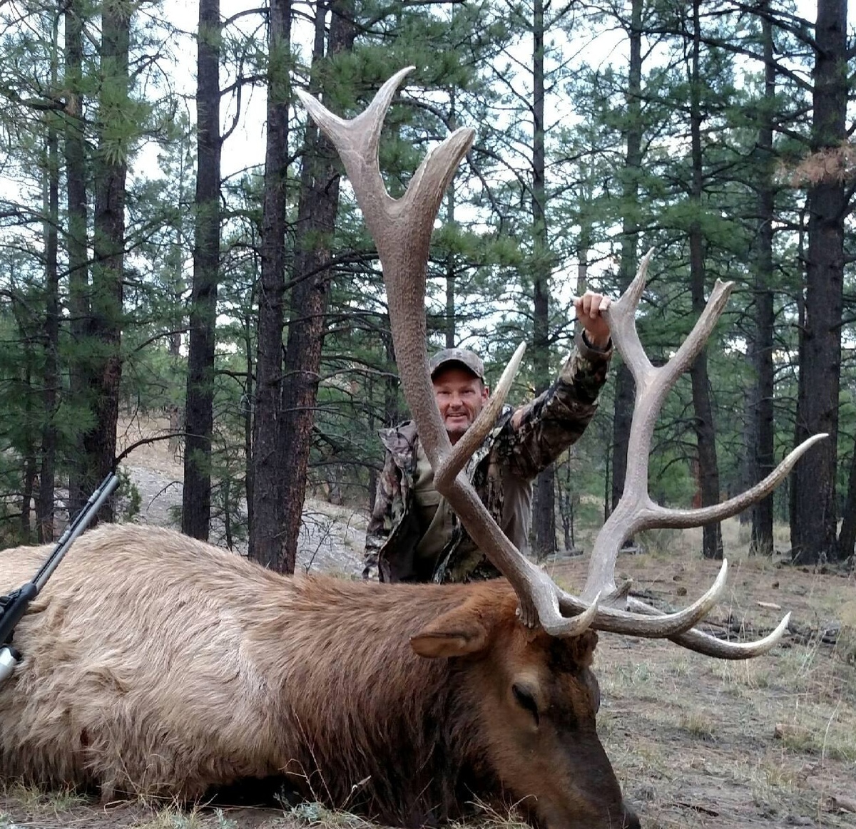 New Mexico Elk Hunting Photos