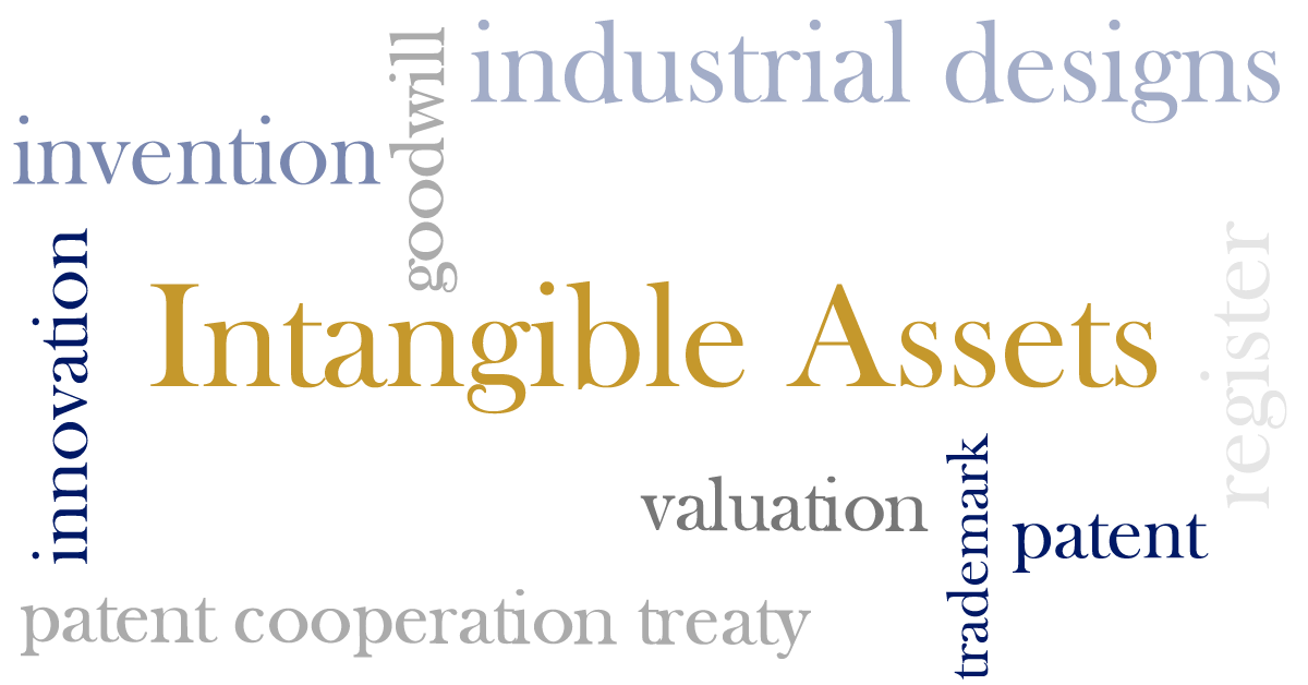 Intangible Assets intellectual property, brand name, goodwill Rubeana