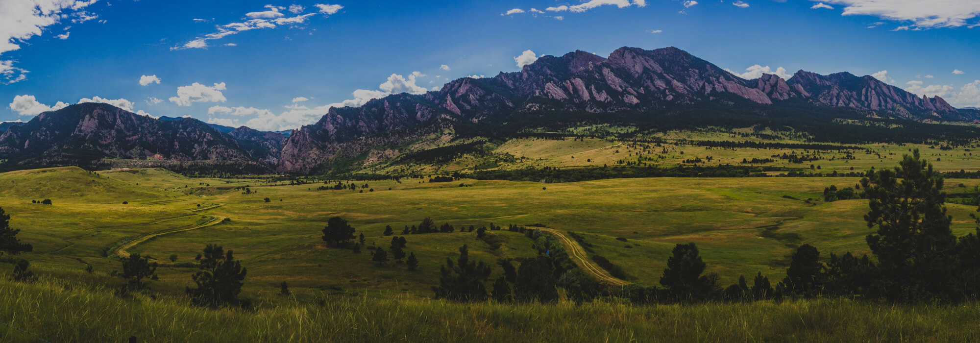 Web Design Boulder Websites, Branding, Marketing Ruby Slipper