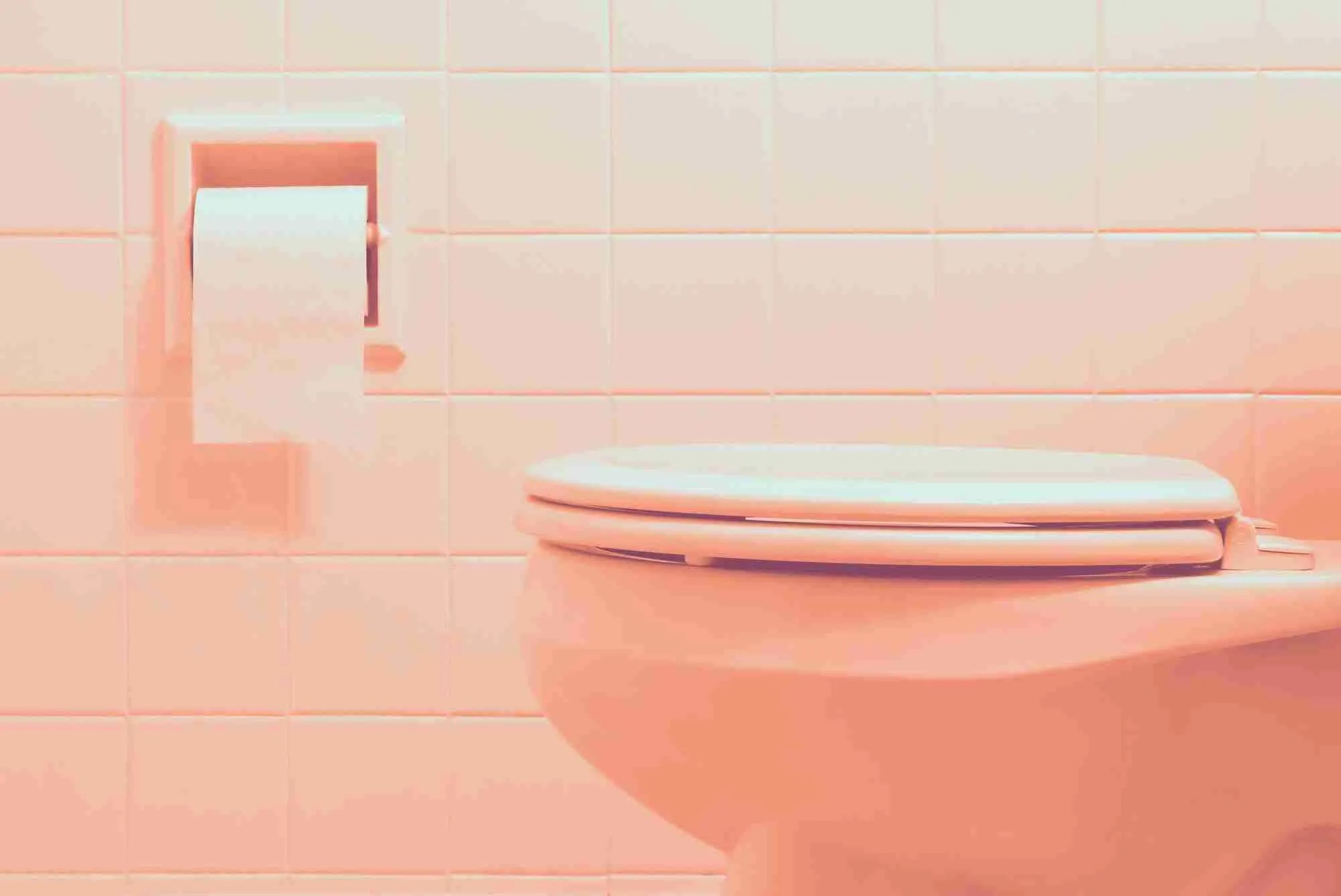 Can You Catch an STI From a Toilet? RUClear