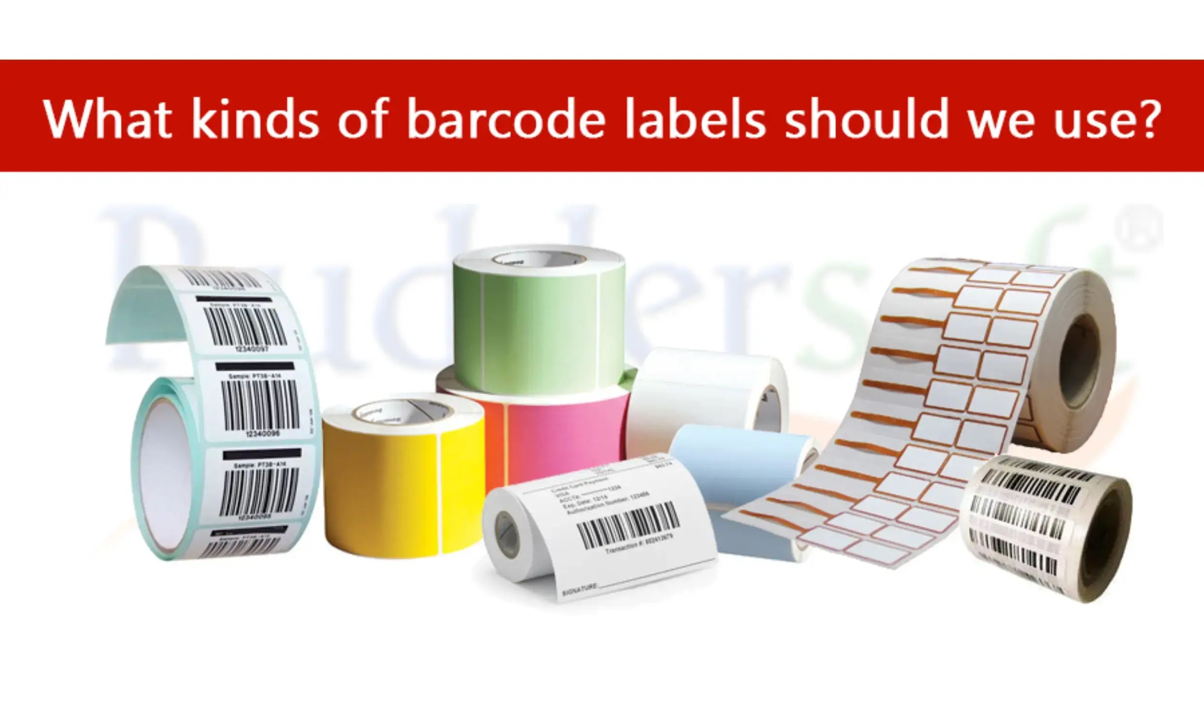 Barcode Basics What Kind Of Barcode Labels Should We Use?