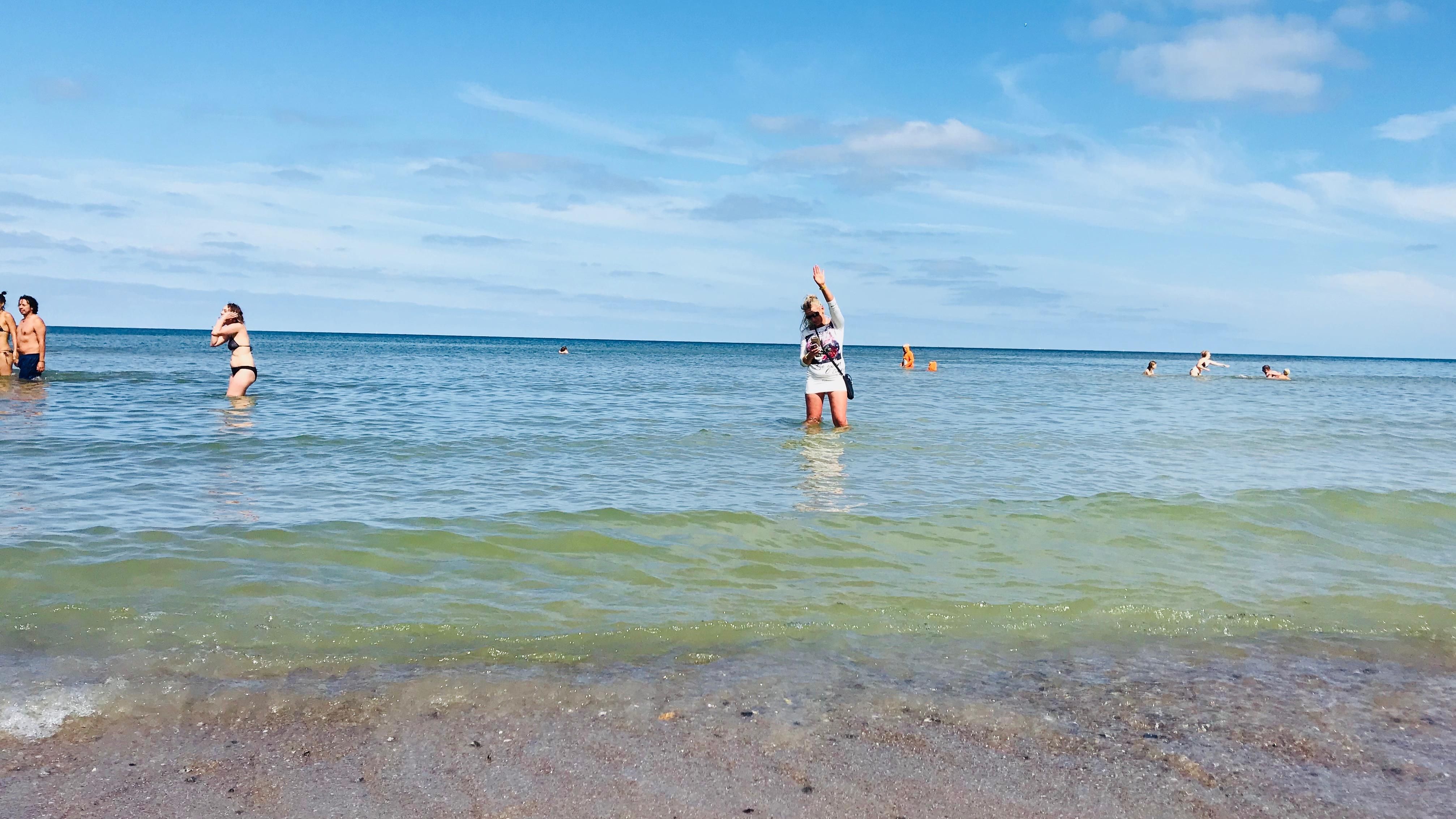 Tag am Meer Festival Insel Rügen Urlaub, Sehenswürdigkeiten, Hotels