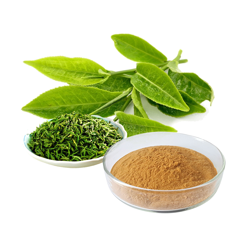 China Green tea extract factory and manufacturers Ruiwo
