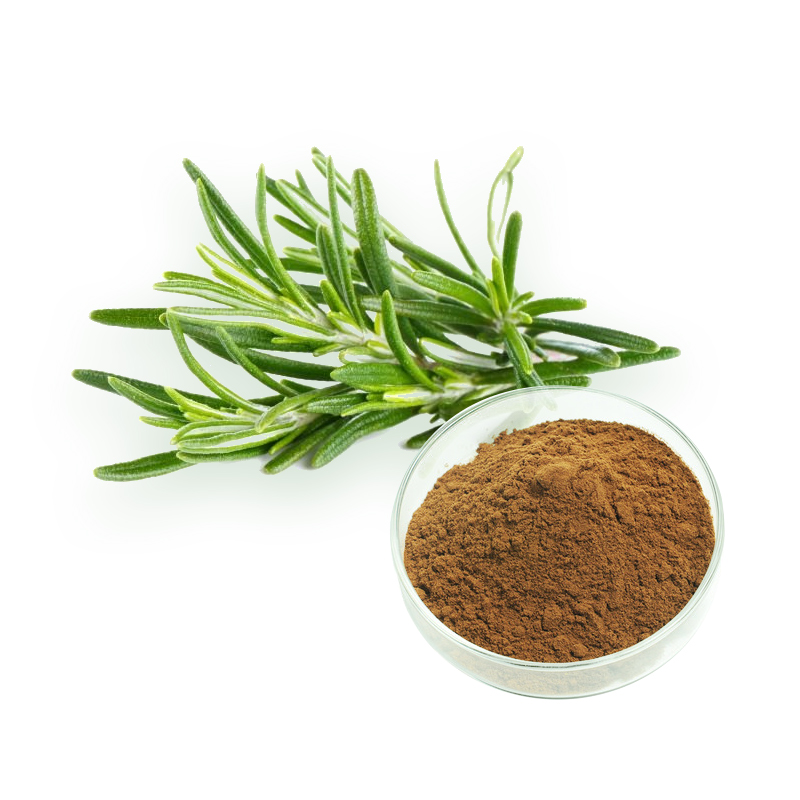 China Rosemary Leaf Extract Factory and Suppliers, Manufacturers