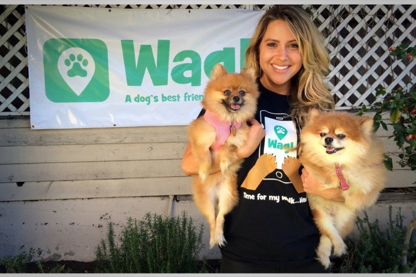 Whats the best dog walking app that can be used to earn