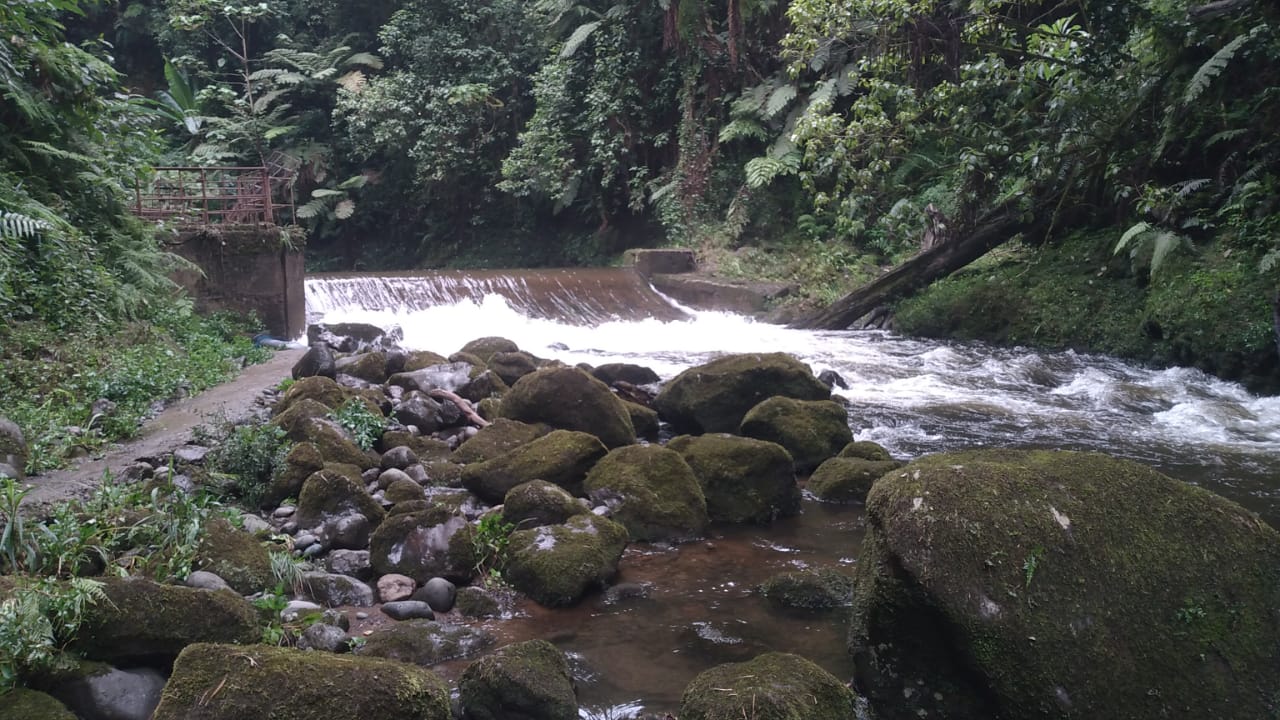 Runbic Apple Tree Estate