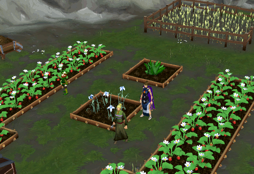 Farming RuneScape Guide RuneHQ