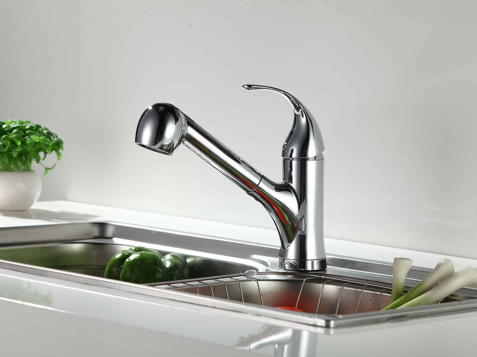 Runfine Aubrey 2Function Spray Head Kitchen Faucet