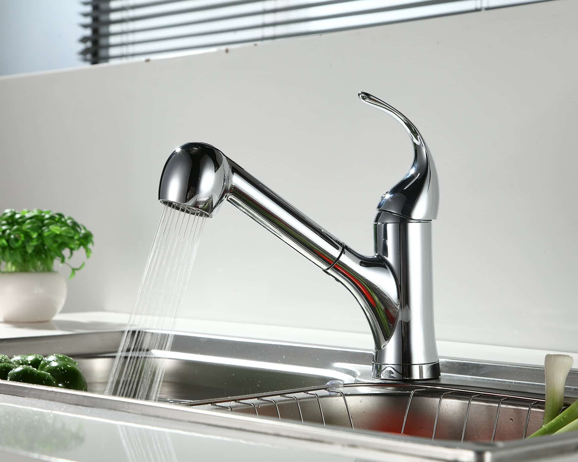 Runfine Aubrey 2Function Spray Head Kitchen Faucet