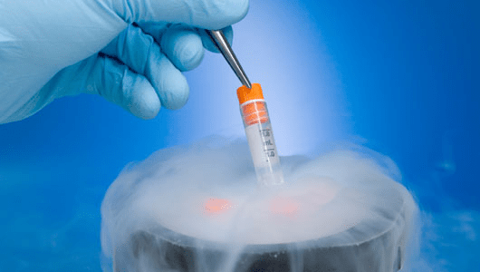 My journey 3 years later … let's thaw some embryos Run Gia Run
