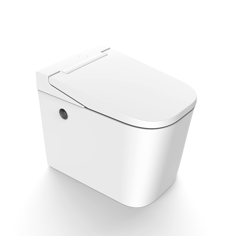 Toilet&Accessories collection Factory China Toilet&Accessories