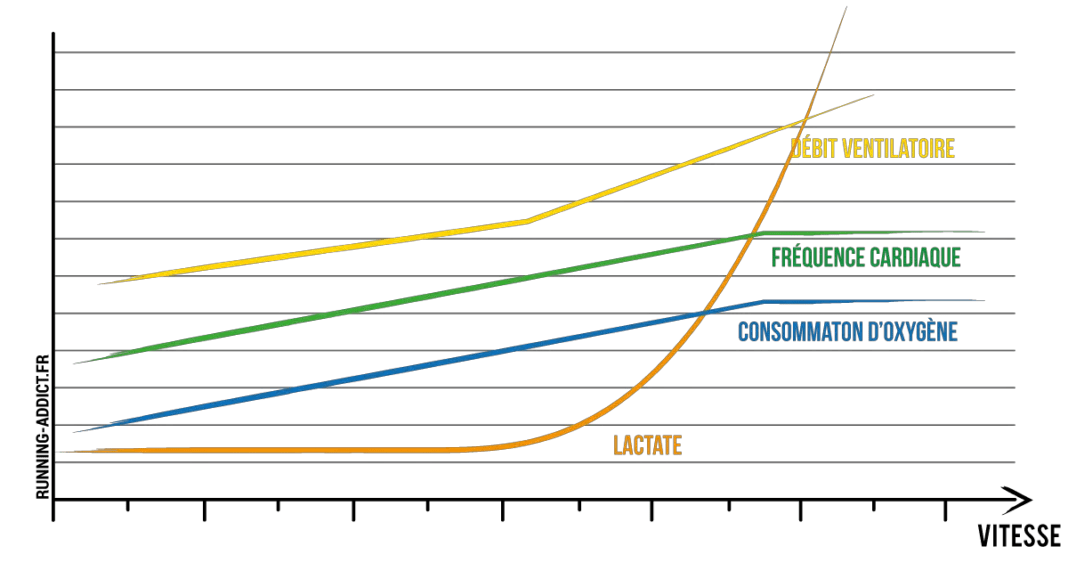 Test VMA comment et pourquoi calculer sa Vitesse Maximale Aérobie