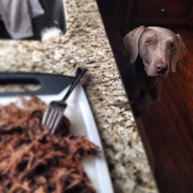 The Easiest Homemade Raw Dog Food Recipe