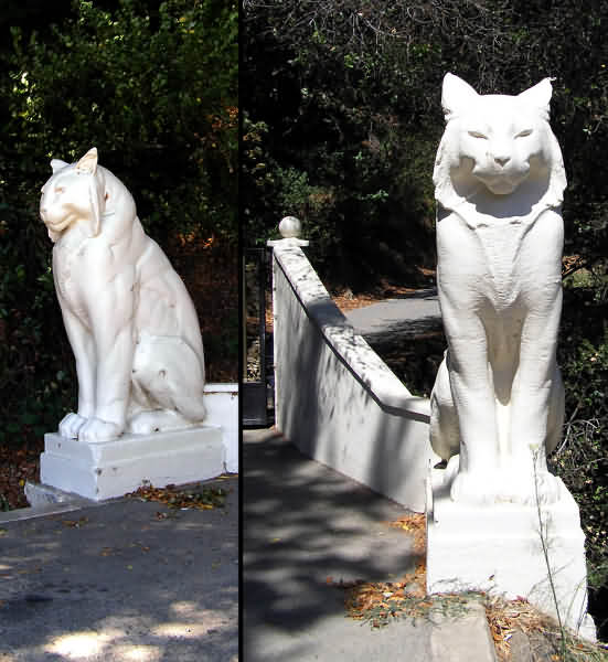 Los Gatos Cat Statues For Sale at Rebecca Mclain blog