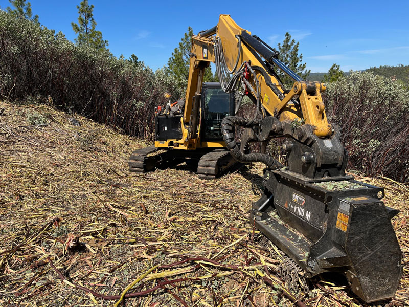Land Clearing Services Placerville CA Brush Clearing, Tree Stand