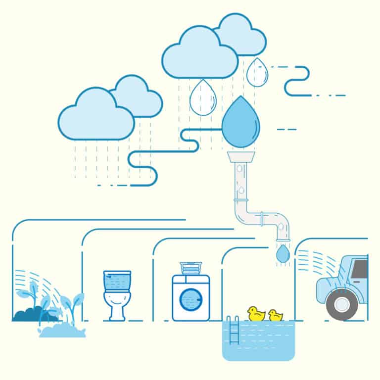 How to Set Up a Rainwater Collection System & 8 DIY Ideas