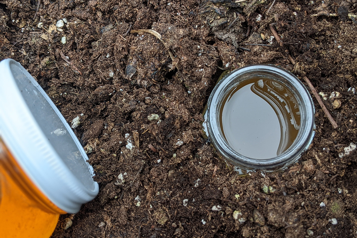 9 Interesting Uses for Honey in Your Garden