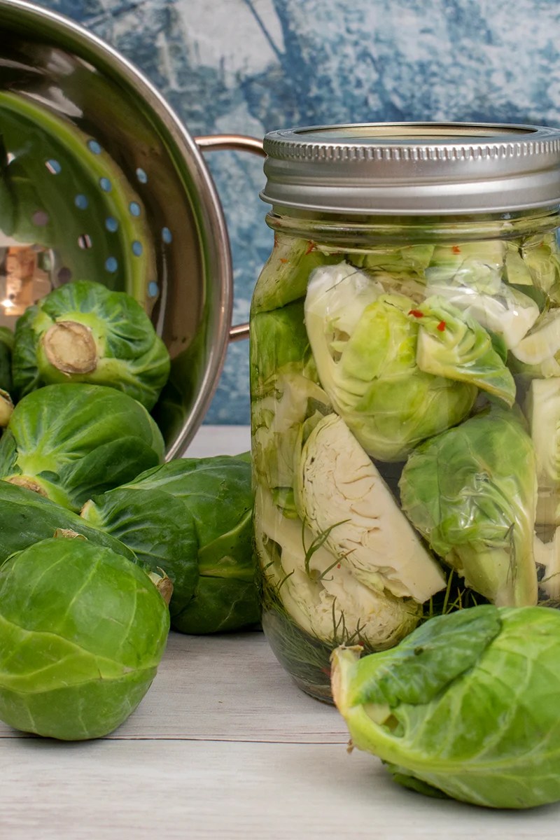 25+ Pickled Brussel Sprouts Recipe JohnnyRiley