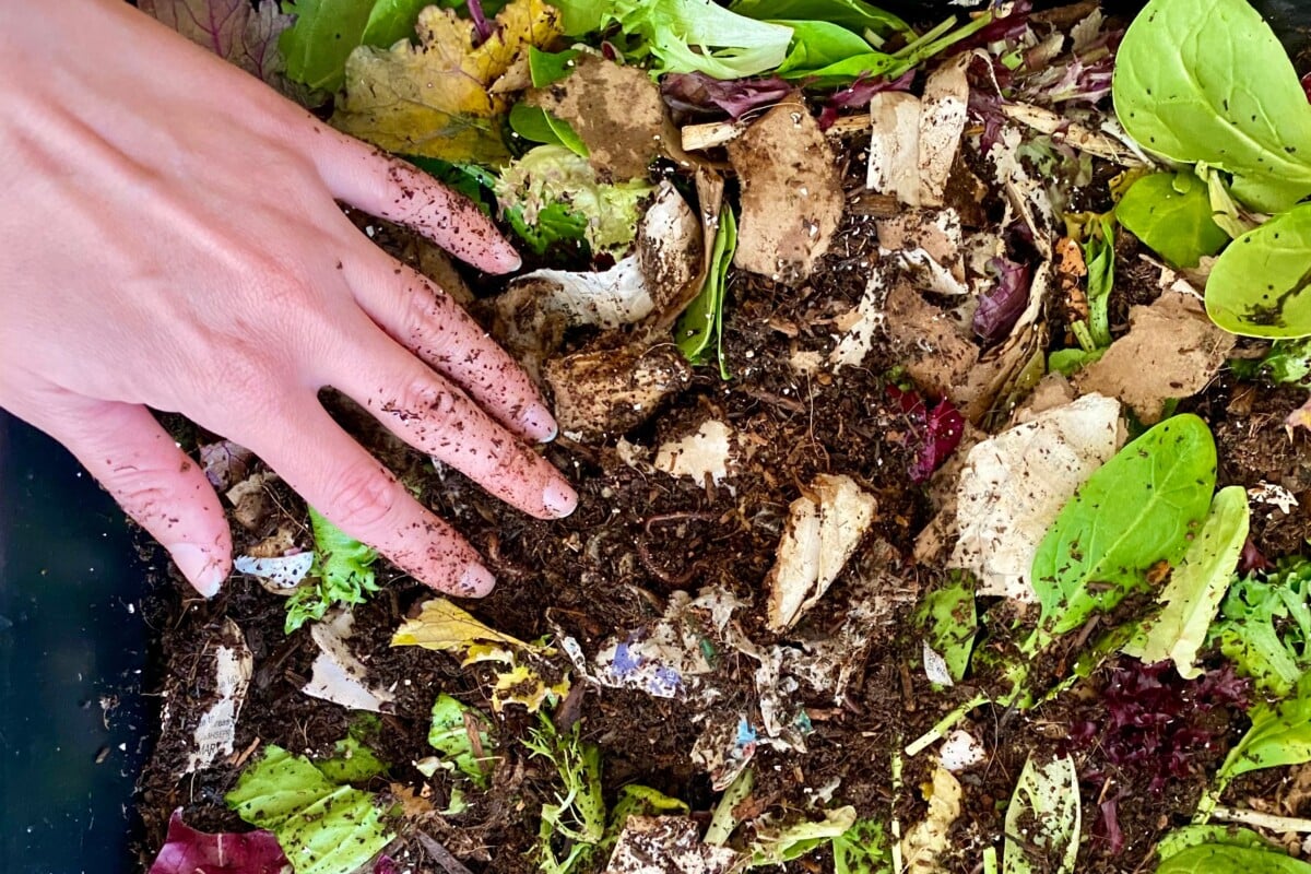 Why You Should NEVER Use Coffee Grounds In Your Garden