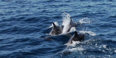 RU Sailing Some other general news.... | RU Sailing