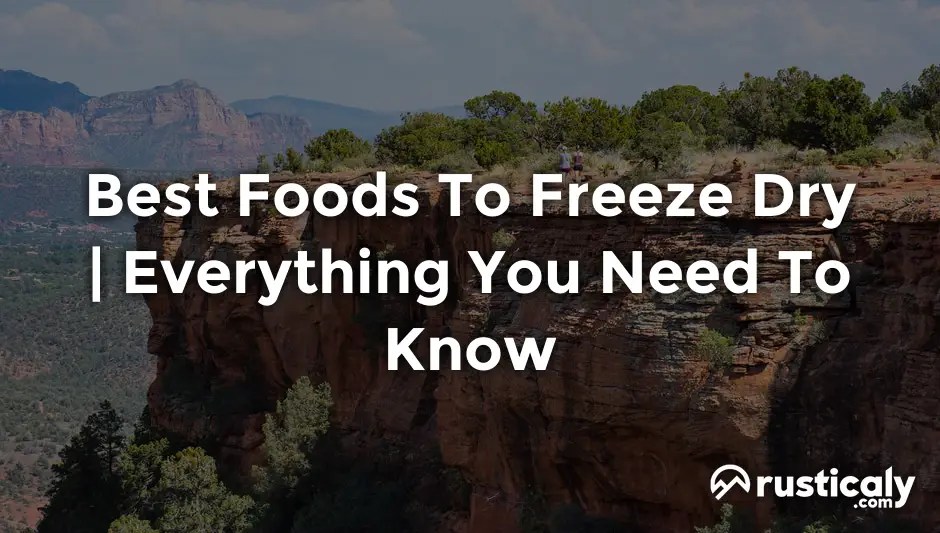 Best Foods To Freeze Dry Everything You Need To Know