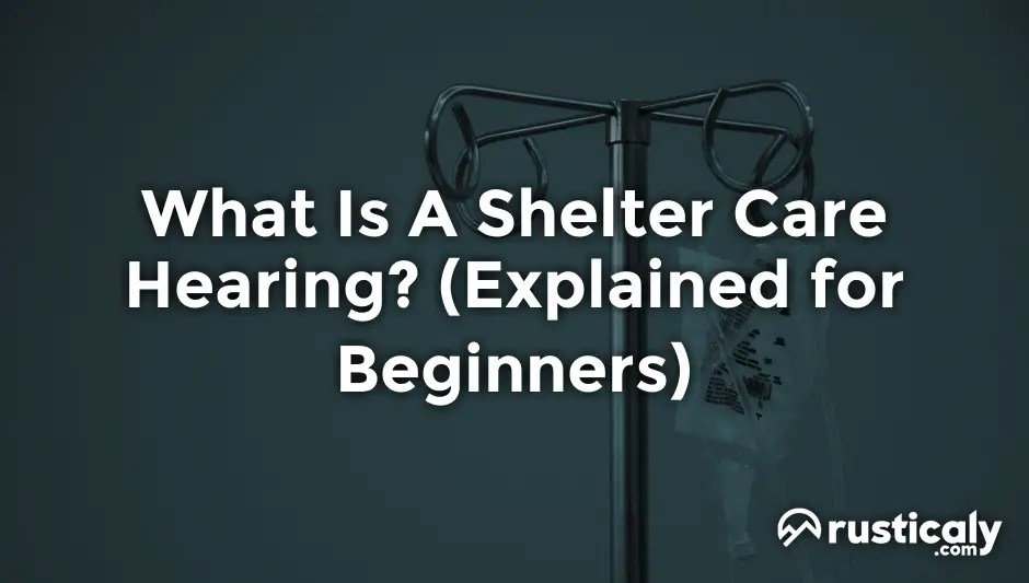 What Is A Shelter Care Hearing? (Read This First!)