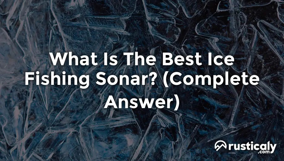 What Is The Best Ice Fishing Sonar? (Answer Inside!)