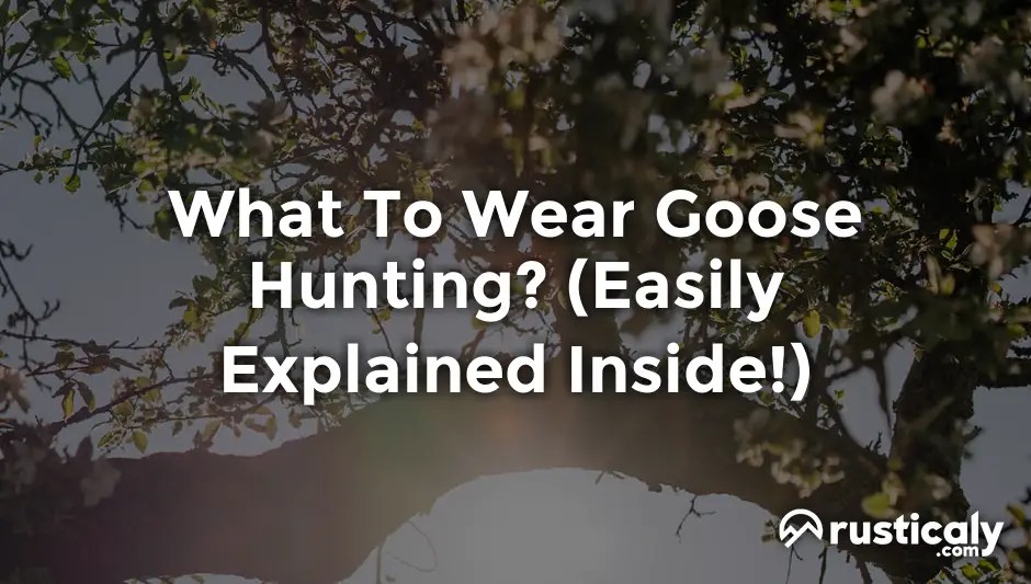 What To Wear Goose Hunting? The Easiest Explanation